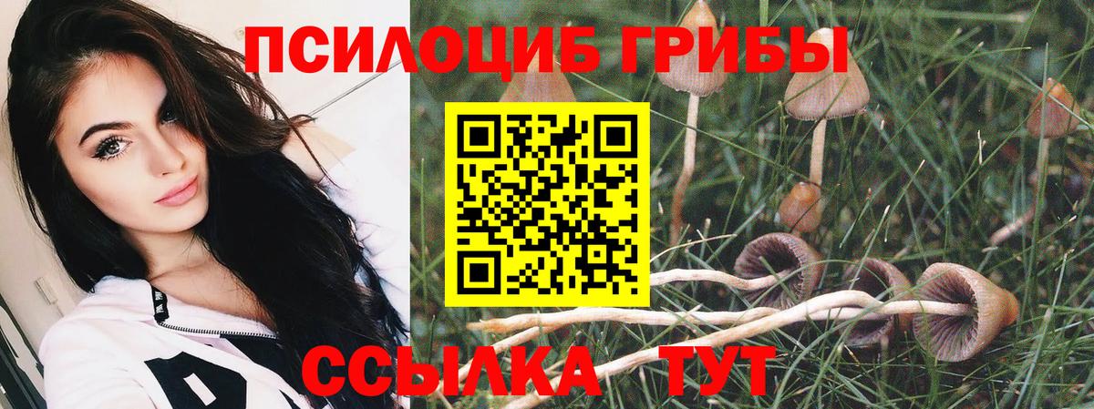 где найти наркотики  Галлюциногенные грибы мухоморы  Вход с VPN  Галлюциногенные грибы Psilocybine cubensis  Геленджик 