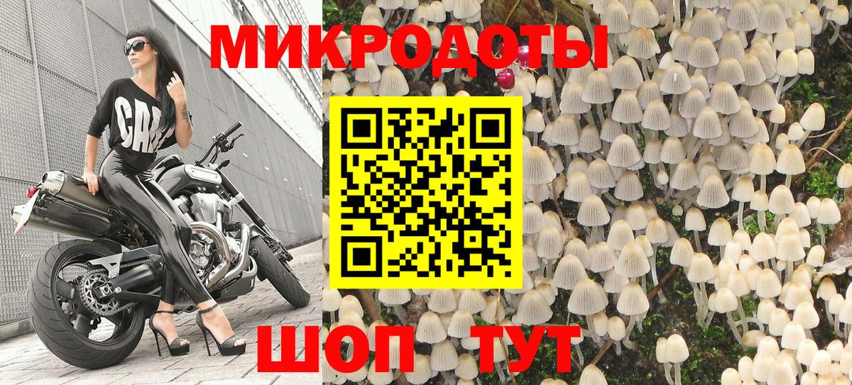 Псилоцибиновые грибы Cubensis Геленджик